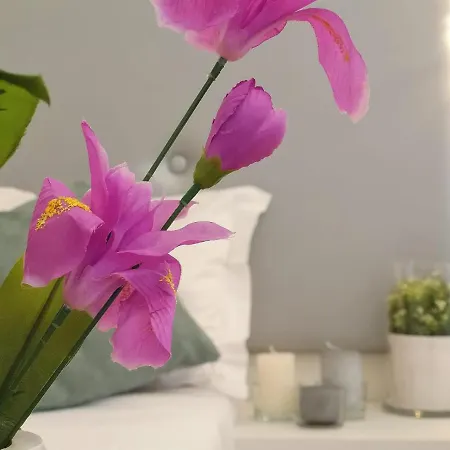 西班牙广场大道住宿加早餐旅馆 住宿加早餐酒店 4*