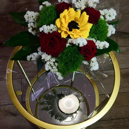 西班牙广场大道住宿加早餐旅馆