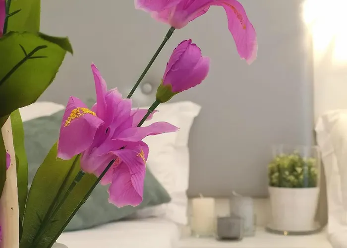 Spagna Ave לינה וארוחת בוקר 4*